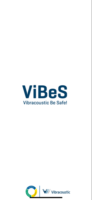 Vibracoustic Be Safe (ViBeS)