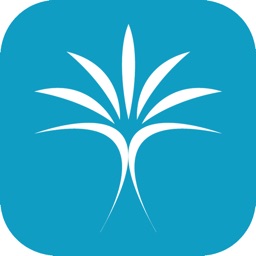 Nice Côte d'Azur Airport