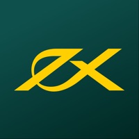 Exness Social Trading