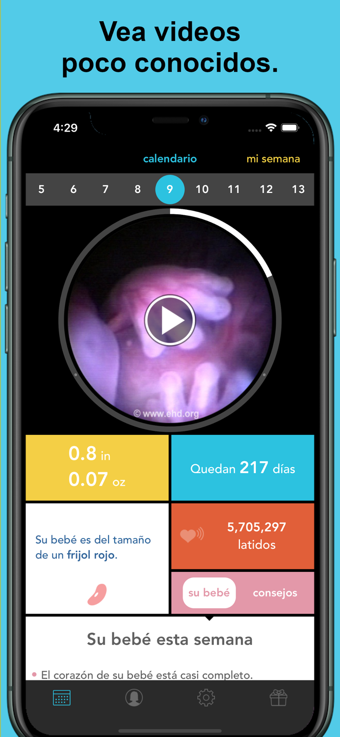 Guía de embarazo See Baby