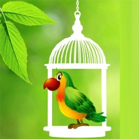 BirdCageOut pour PC