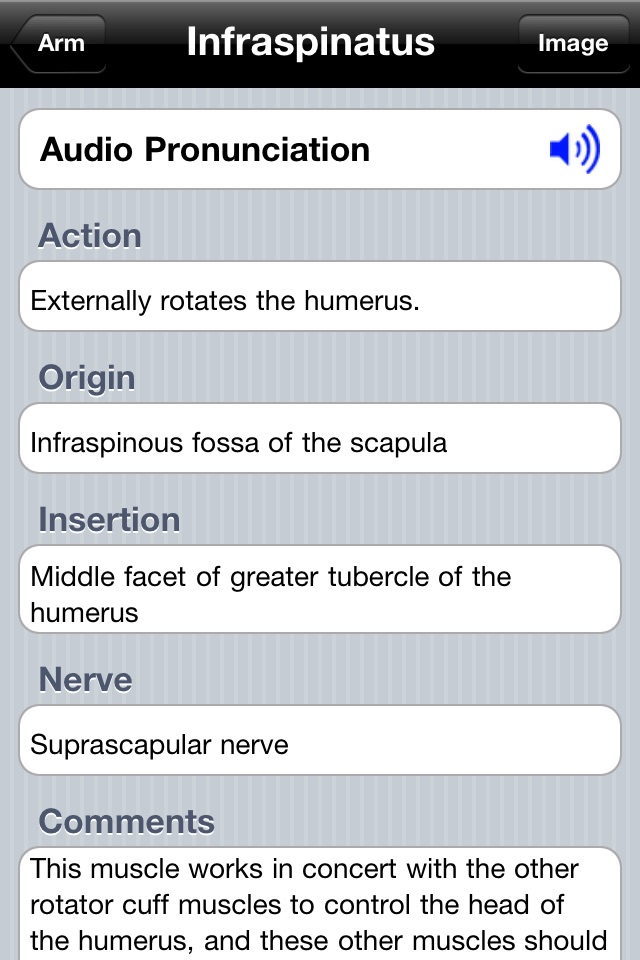 Learn Muscles: Anatomy screenshot 4