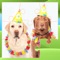 Pet puzzle features: