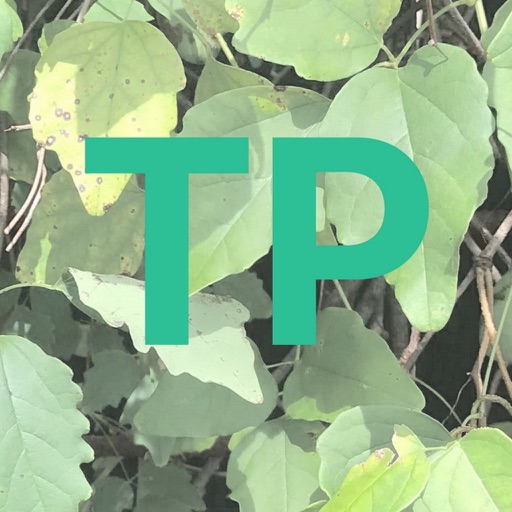TimePost