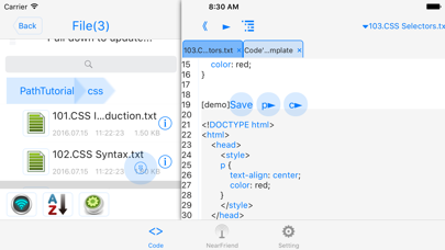 How to cancel & delete websta$-learn html css and js from iphone & ipad 1