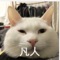 “黎白酱”是一直可爱的白猫，经常作出一些搞怪的表情，让人忍俊不禁，现在制作成了表情贴纸，在与您的好友iMessage聊天中可以分享给对方啦，在APP内也可以分享哦~
