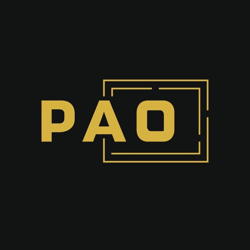 PAO Detroit