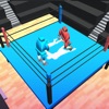 Drunken Wrestlers 3D Fighter