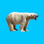 My Polar Bear Stickers