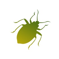 Insecta - Study Insects in AR