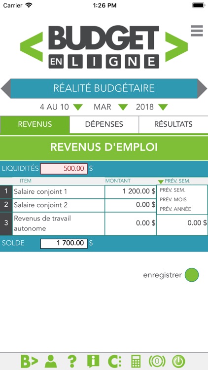 Budget en ligne screenshot-4