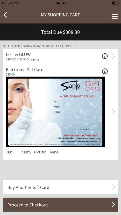 Santo Salon screenshot-3