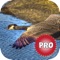 Hunt as many ducks as you can in your next duck hunting spree by using natural animal sounds that work