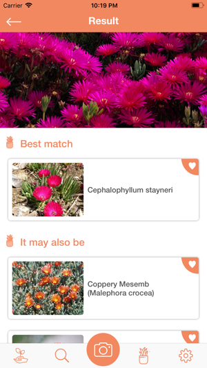 PlantDetect - Plant Identifier(圖6)-速報App