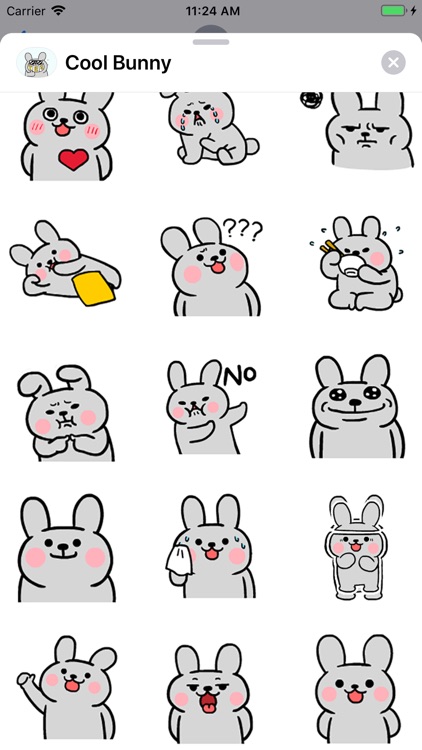 Cool Bunny Animated