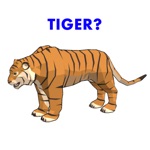 Sort Animals 3D