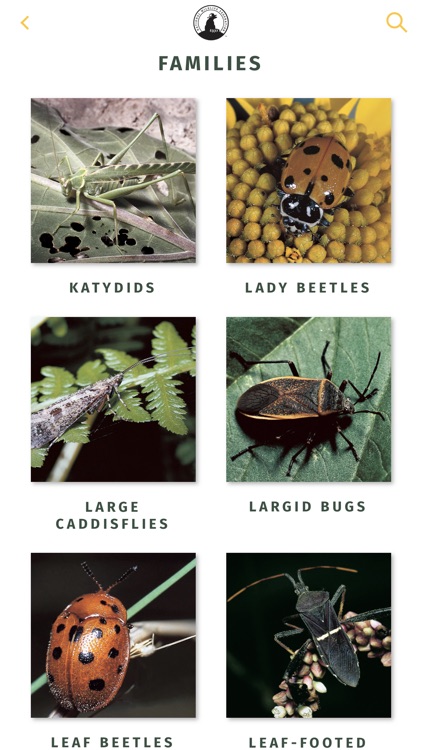 NWF Guide to Insects & Spiders