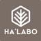 Staff App for Halabo Consultant