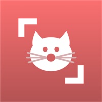 Contacter Cat Scanner