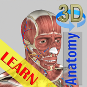 3D Anatomy Learning icon