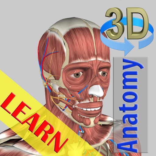 3D Anatomy Learning