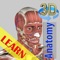 A true and totally 3D free app for studying human anatomy, built on an advanced interactive 3D touch interface