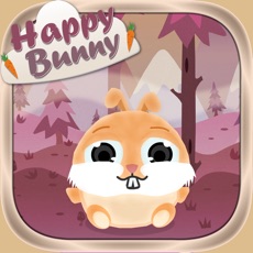 Activities of Happy Bunny Super Forest Jump