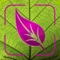 Because symptoms in diseased plants can appear slowly, it is very difficult for farmers to notice and correctly diagnose the disease
