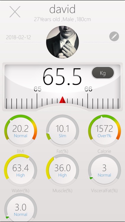 Smart Scale - Body Record Tool