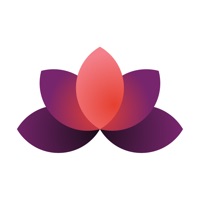 ANAGH  - أناقة مزوّد