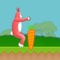 这是一个有趣的冒险游戏，兔子在森林里跑酷，不断收集胡萝卜。注意，动物跑的越来越快的。后面难度也会越来越高的。