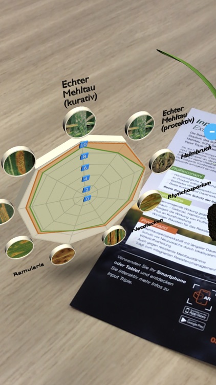 Input Triple AR screenshot-3