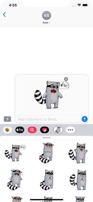 Racoon Stickers Pack(圖5)-速報App