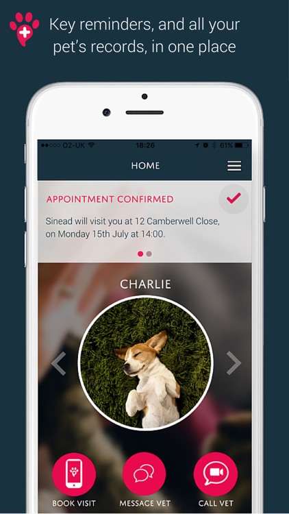 PawSquad - Vet in your Pocket
