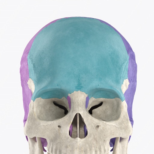 Anatomyka Skeleton iOS App