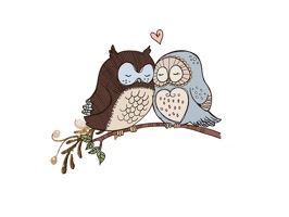 owl Cute sticker