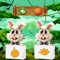 The “DropFiddAnimale” app is an entertainment app that player can drop vegetable to rabbits and fill all rabbits in this app