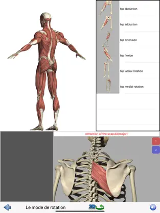 Imágen 7 Visual Anatomy Lite iphone