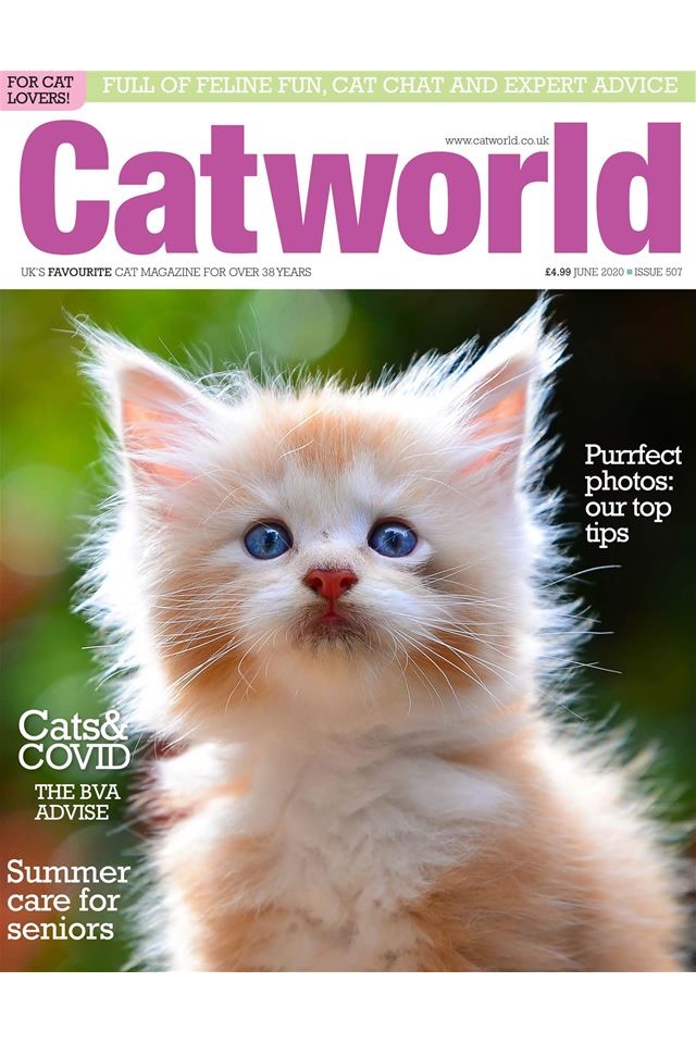 Catworld Magazine screenshot 4