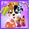 Royal puppy arrived for pet care, do all pet care activities