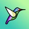 Explore birds with Nokular