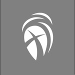 Cottonwood Creek  Allen