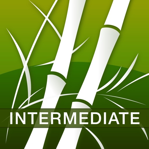 Human Japanese Intermediate Icon