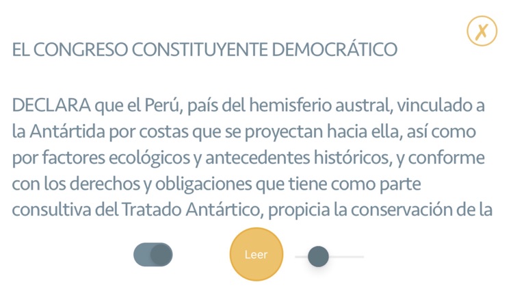 Constitución Política del Perú screenshot-3