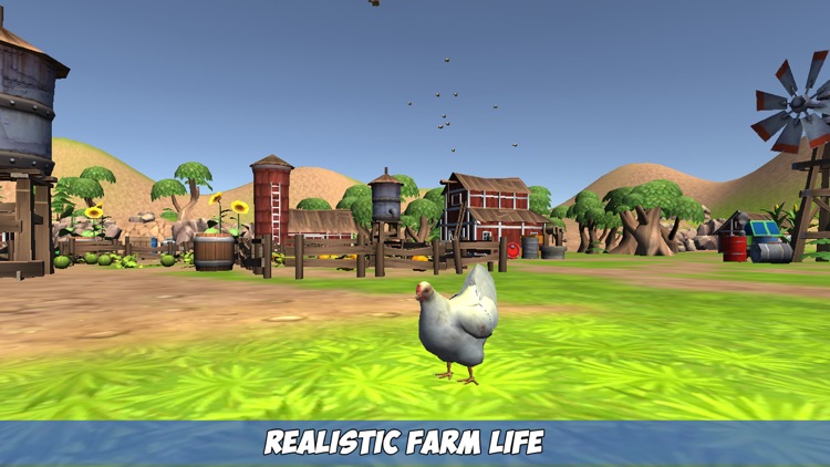 My Chicken Simulator