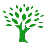 Desire Tree