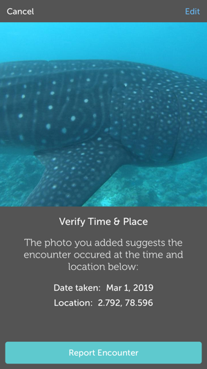 Whale Shark Network Maldives(圖3)-速報App