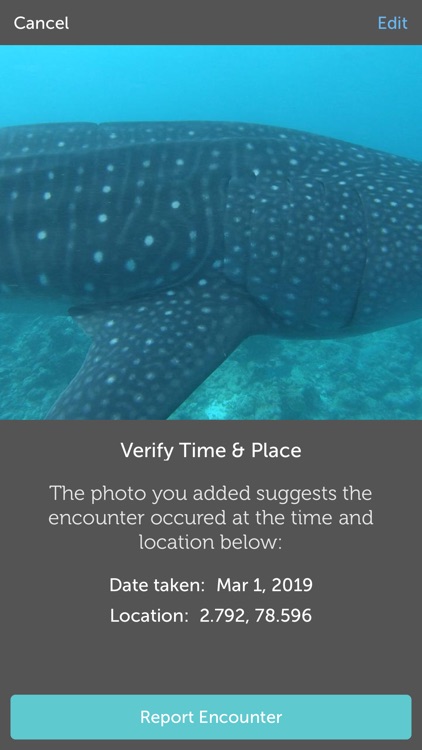 Whale Shark Network Maldives