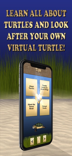 Where's the Turtle(圖5)-速報App