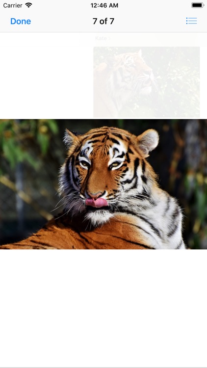 Real Tiger Stickers screenshot-7